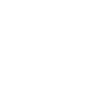 SLEEP-MASTER